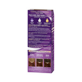 Permanent Hair Dye Medium Chestnut Gray Coverage Palette 110ml