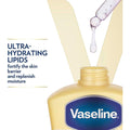 Nourishing Body Lotion with Oat Extract - Vaseline Intensive Care - 200ml