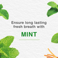 Himalaya Toothpaste Mint Natural Ingredients 100ml