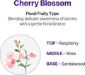 Top Rated Moisturizing Shampoo Honey Macadamia Cherry Blossom Kundal 500ml