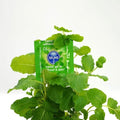 Mint Condoms Premium Flavoured Comfort Skins 8 Pack