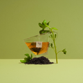 Shaya Moringa Herbal Tea, Natural Antioxidant Blend, 20 Tea Bags