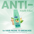 Strengthening Shampoo with Ginger and Nettle Extract by Pert Plus 400ml