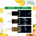 Garnier Permanent Hair Color, Black Blue 2.10, 112 ml