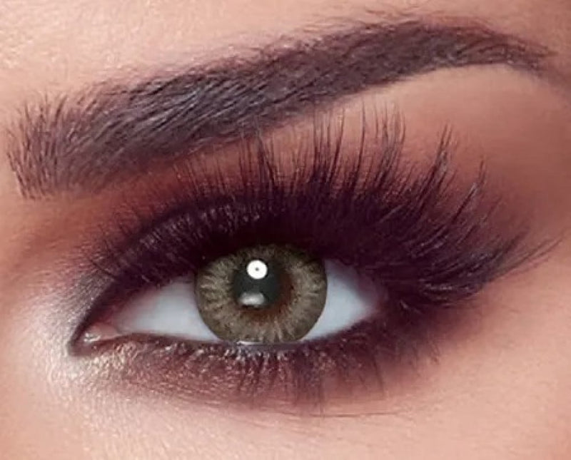 Daily Contact Lenses Platinum Gray 10 Lenses Bella