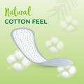 Freshdays Panty Liners, Odor Control, Breathable, Thin, 48 Count