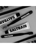 Psaltery SALTRAIN Fresh Mint Toothpaste Travel Set 30g