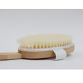 Salon System Long Handle Body Shower Brush with Wooden Handle