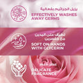 Buy Liquid Hand Wash Soft Rose & Almond Oil Gentle Cleansing Lux 250ml