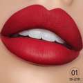Christine Mini Matte Lipstick Shade 01 (Model CH-L2101)
