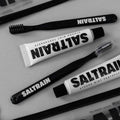 Mint Toothpaste with Brush Cooling Fresh Saltrain 30g