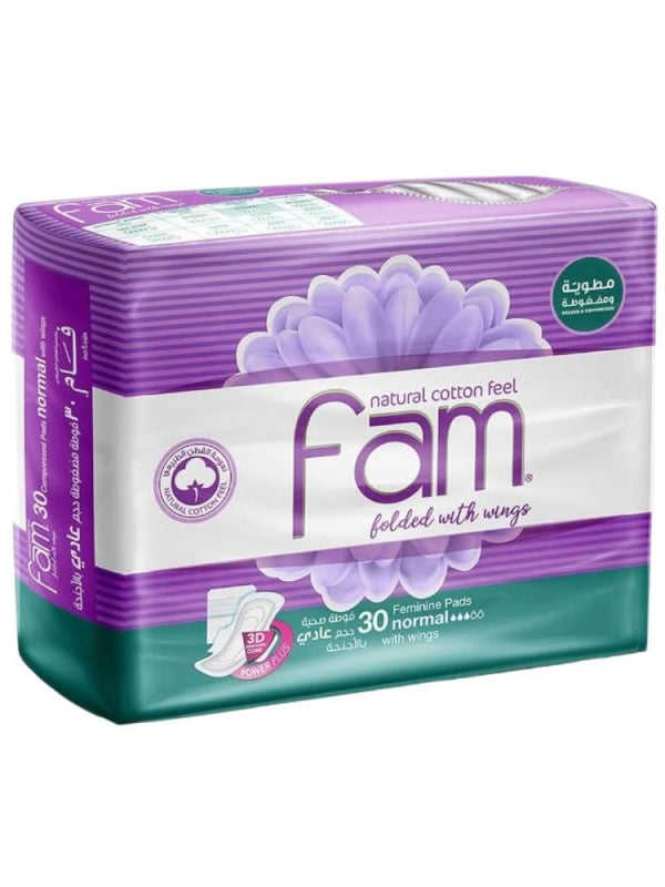 Best Sanitary Pads for 10 Year Olds Regular Size with Wings Fam 30 Pads