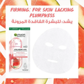 Garnier Hyaluronic Acid & Watermelon Extract Skin Elasticity Sheet Mask 15g