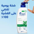 Head & Shoulders Anti-Dandruff Shampoo, Mint Extract, Oily Hair, 500ml