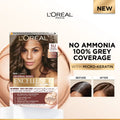 L'Oréal Paris Excellence Hair Color Cream 5U Light Brown Ammonia-Free
