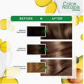 Garnier Permanent Hair Dye, Dark Blonde 6, 112ml, with Gray Coverage
