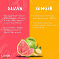 Cantu Guava & Ginger Pre-Shampoo Scalp Cleansing Treatment, 180ml