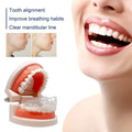 Orthodontic Brace Clear Teeth Alignment Jaw Corrector EELHOE 1pc
