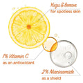 Vitamin C Serum for Face Anti-Dark Spot Garnier Skin Active 15ml