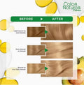 Garnier Hair Color Blonde 7 Light Blonde, with Olive & Avocado Oil, 112ml
