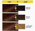 Garnier Hair Dye Ammonia-Free Chocolate Brown 5.35 112ml