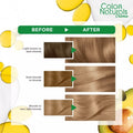 Garnier Hair Dye Light Blonde 8 112ml Gray Coverage