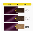 Garnier Nutrisse Ammonia-Free Hair Color, Red Violet 4.26, 112 ml