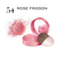 Bourjois Little Round Pot Blush 54 Rose Frisson Compact Powder 2.5g