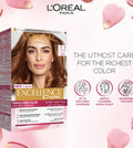 L'Oreal Paris Permanent Hair Color Cream Honey Brown 7.7 192ml