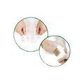 Forest One Touch Patch Thermal Soothing D-Essence 1 Piece