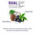 Hair Oil Serum Repairing Damaged Dry Hair Amalaki Extract Giovanni 81ml