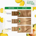 Garnier Hair Color Kit Very Light Blonde 9 with Olive and Avocado Oil 112ml