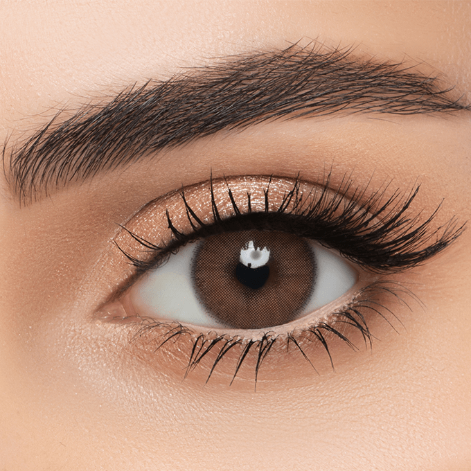 Top Rated Colored Contact Lenses LensME Date Brown Natural 6 Months