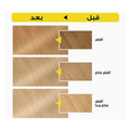 Garnier Hair Color Ammonia-Free Bright Ash Blonde 10.1 112ml
