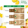 Blonde Hair Dye Permanent Light Icy Shade Garnier 112ml