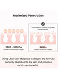 Biodance Collagen Pore Perfecting Cream - 50 ml